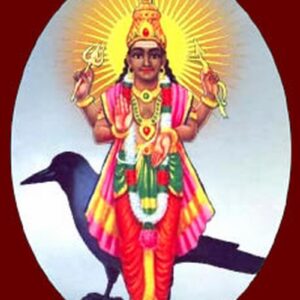 Shani Pooja(With Black Vatram)